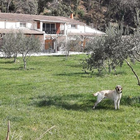 Le Mas Des Oliviers Villa Puget Exterior photo