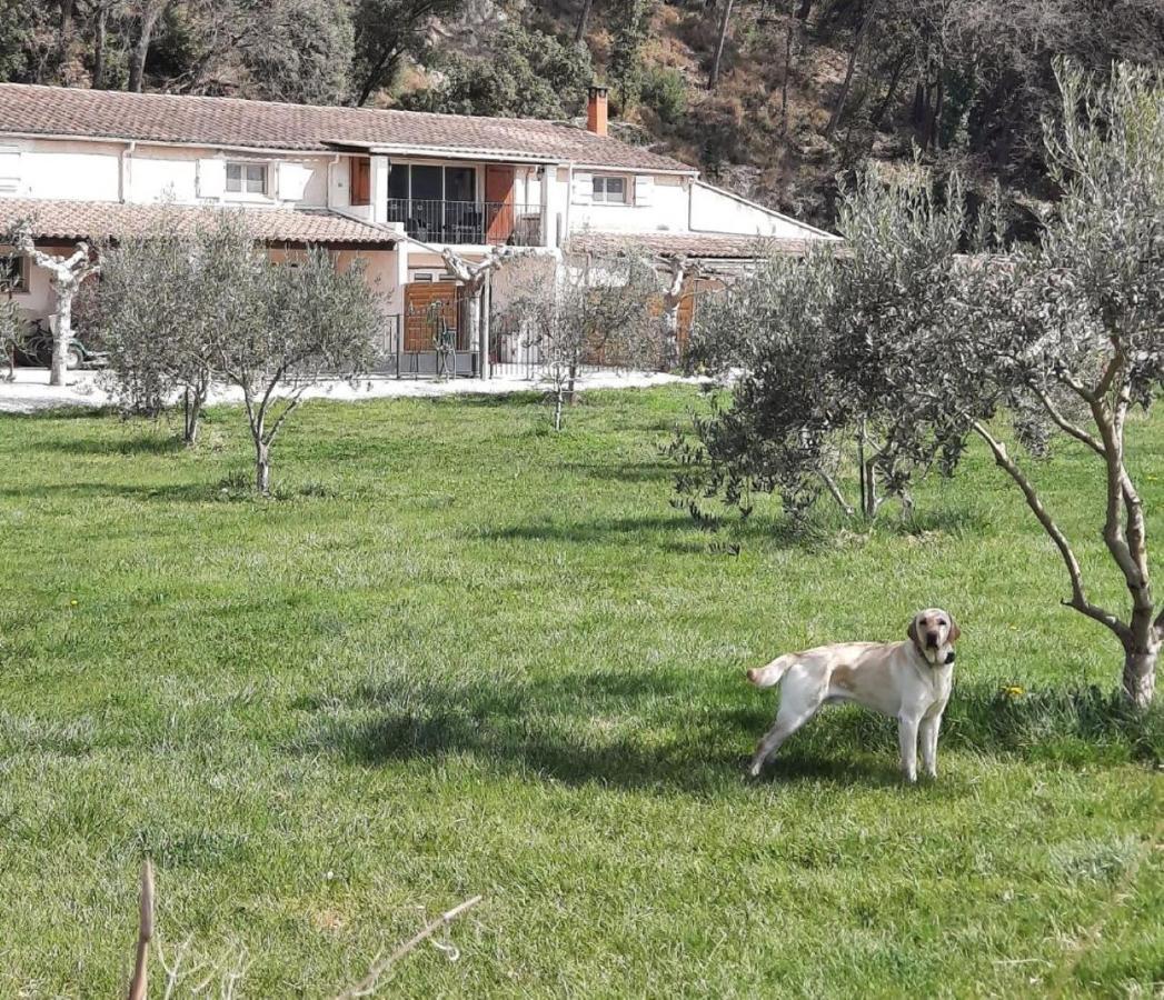 Le Mas Des Oliviers Villa Puget Exterior photo