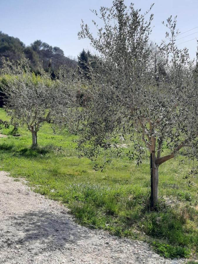 Le Mas Des Oliviers Villa Puget Exterior photo