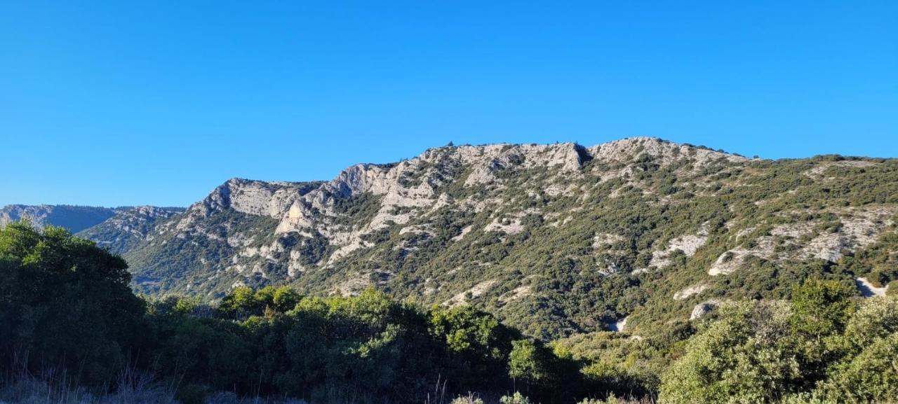 Le Mas Des Oliviers Villa Puget Exterior photo
